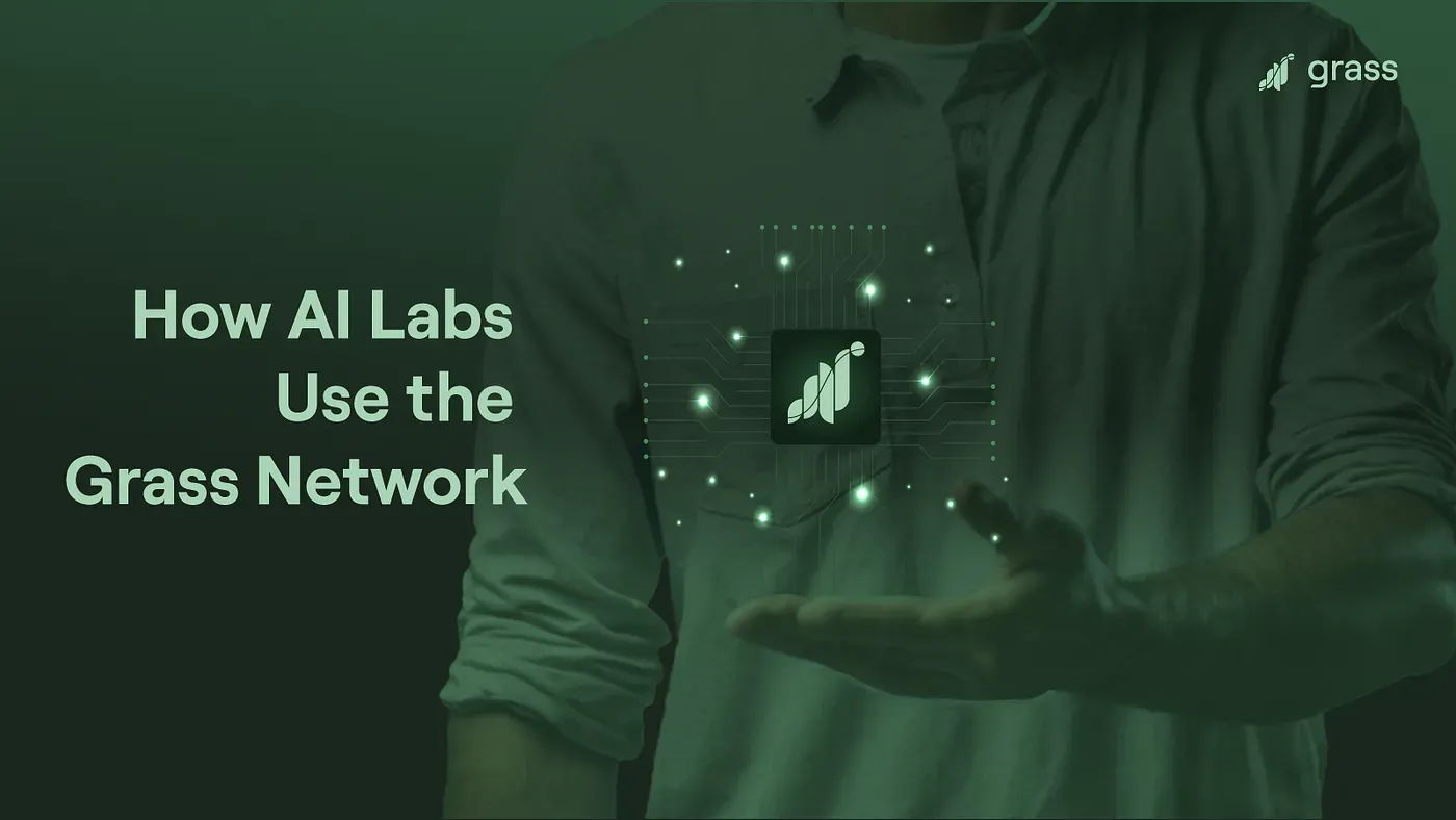 LLMs and You: How AI Labs Use the Grass Network
