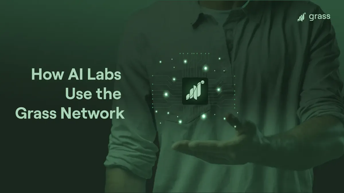 LLMs and You: How AI Labs Use the Grass Network