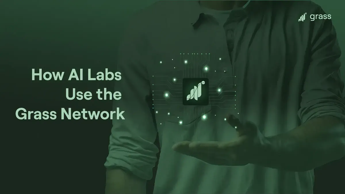 LLMs and You: How AI Labs Use the Grass Network