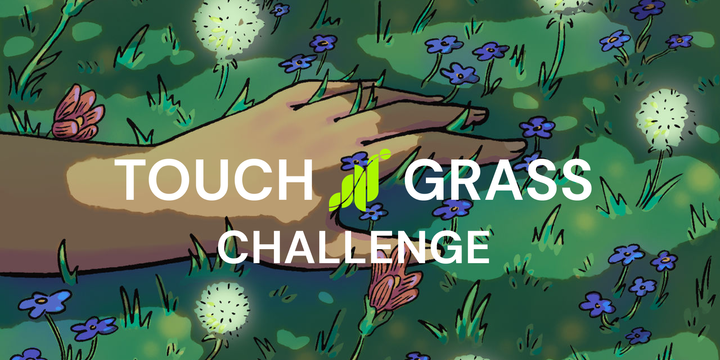 Touch Grass Challenge