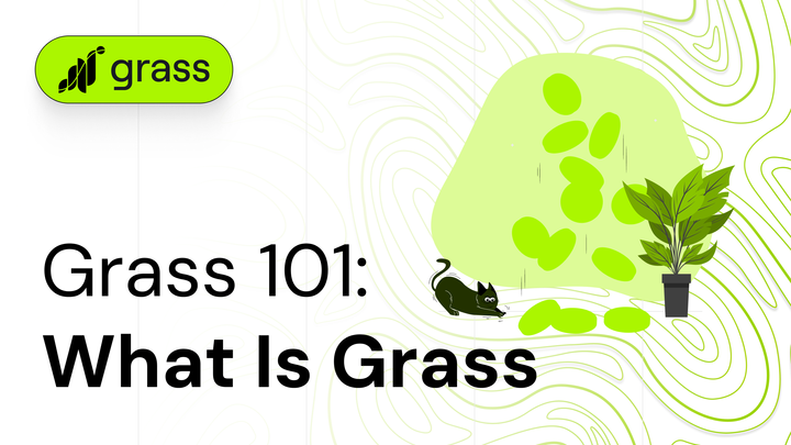 Grass 101: What is Grass?