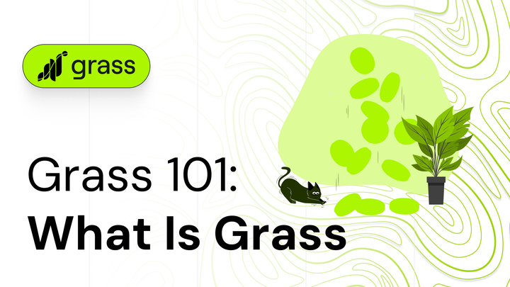 Grass 101: What is Grass?